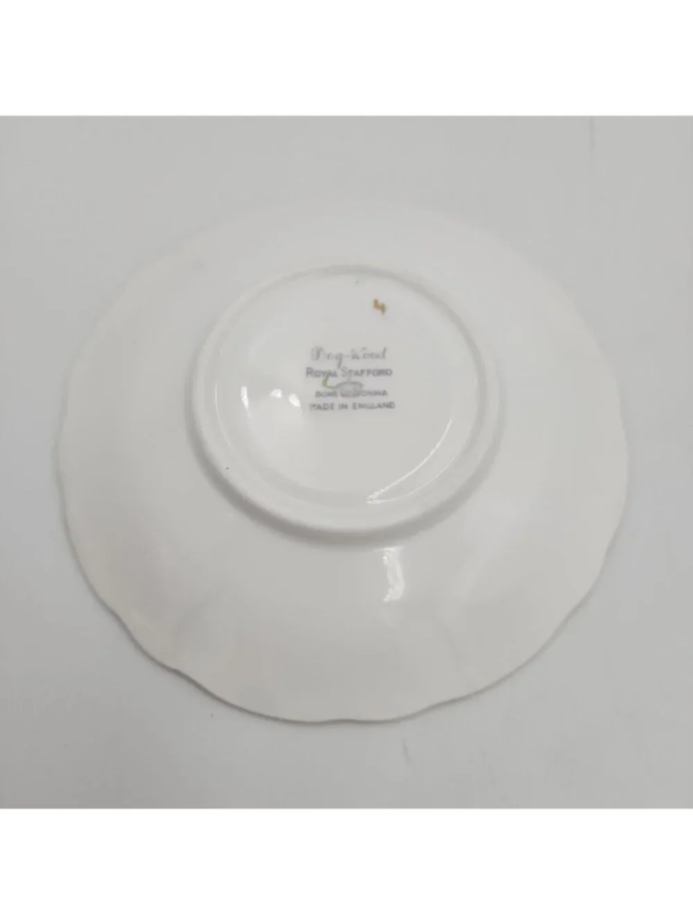 Vintage Royal Stafford English Bone China Gold Gilt Dog-Wood Tea Cup Saucer